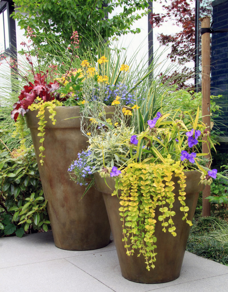 Flower Pots Curb Appeal